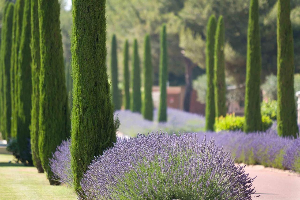 L'Hotel & Spa Du Castellet Ле-Кастелле Экстерьер фото